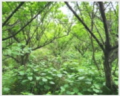  2025Ÿ��11690 �泲 ���� �ߺε� 53       ����(��1)���