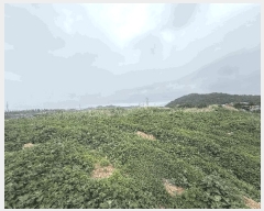  2025Ÿ��11720  ����