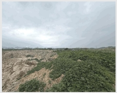  2025Ÿ��11720  ����