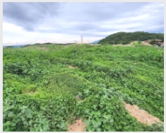  2025Ÿ��11720  ����