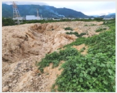  2025Ÿ��11720  ����