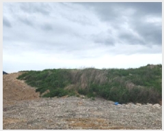  2025Ÿ��11720  ����