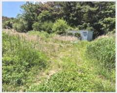  2025Ÿ11780  ϱ õ 771       ()