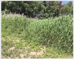  2025Ÿ11780  ϱ õ 771       ()