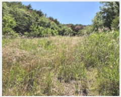  2025Ÿ11780  ϱ õ 771       ()