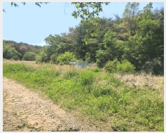  2025Ÿ11780  ϱ õ 771       ()