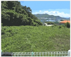  2025Ÿ��12343 �泲 ���� ȣ�赿 231-3       ������