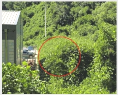  2025Ÿ��12343 �泲 ���� ȣ�赿 231-3       ������