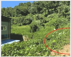  2025Ÿ��12343 �泲 ���� ȣ�赿 231-3       ������