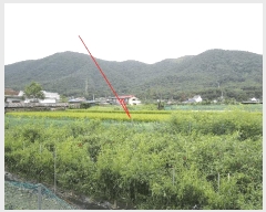  2025Ÿ��12438  ����