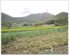  2025Ÿ��12438  ����