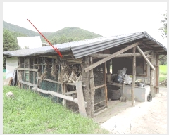  2025Ÿ��12438  ����