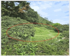  2025Ÿ��12500  �����