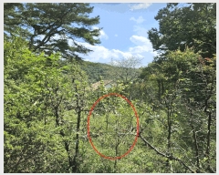  2025Ÿ��12500  �����