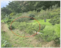  2025Ÿ��12500  �����