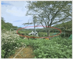  2025Ÿ��12500  �����