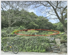  2025Ÿ��12500  �����