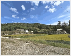  2025Ÿ��12609  �����