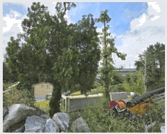  2025Ÿ��12609  �����