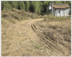  2025Ÿ��12609  �����