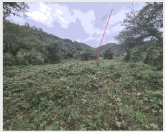  2025Ÿ��12654  ���ð��