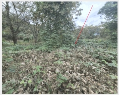  2025Ÿ��12654  ���ð��