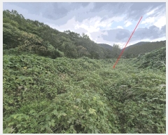  2025Ÿ��12654  ���ð��