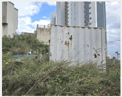  2025Ÿ��12684 ��� ���� �� 212       ����(����)���