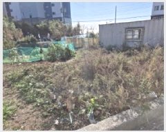  2025Ÿ��12684 ��� ���� �� 212       ����(����)���