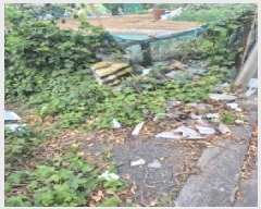  2025Ÿ��12684 ��� ���� �� 212       ����(����)���