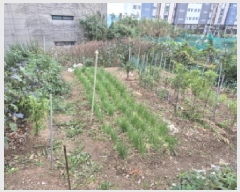  2025Ÿ��12684 ��� ���� �� 212       ����(����)���