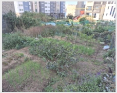  2025Ÿ��12684 ��� ���� �� 212       ����(����)���