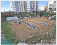  2025Ÿ��12684  �����