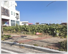  2025Ÿ��12799  �������