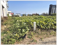  2025Ÿ��12799  �������