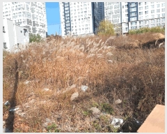  2025Ÿ��12829 ��� �ϱ� �Ű 899-3       ����(����)���