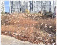  2025Ÿ��12829 ��� �ϱ� �Ű 899-3       ����(����)���