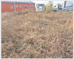  2025Ÿ��12829 ��� �ϱ� �Ű 899-3       ����(����)���