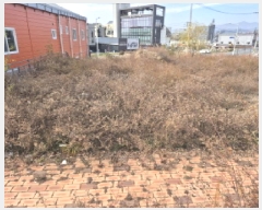  2025Ÿ��12829 ��� �ϱ� �Ű 899-3       ����(����)���