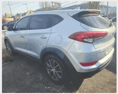  2025Ÿ��12989  �������