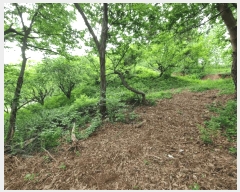  2025Ÿ��906 ��� ���ֱ� ��ϸ� ������ ��81-2      ����(�Ӿ�)���