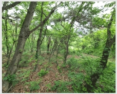  2025Ÿ��906 ��� ���ֱ� ��ϸ� ������ ��81-2      ����(�Ӿ�)���