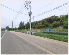  2025Ÿ��906 ��� ���ֱ� ��ϸ� ������ ��81-2      ����(�Ӿ�)���