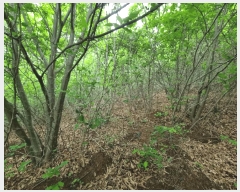  2025Ÿ��906 ��� ���ֱ� ��ϸ� ������ ��81-2      ����(�Ӿ�)���