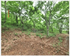  2025Ÿ��906 ��� ���ֱ� ��ϸ� ������ ��81-2      ����(�Ӿ�)���