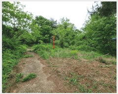  2025Ÿ��906 ��� ���ֱ� ��ϸ� ������ ��81-2      ����(�Ӿ�)���