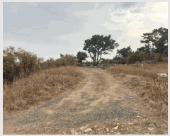  2025Ÿ��930 ��� ���� ������ 707-12       ����(��1)���