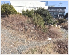  2025Ÿ��930 ��� ���� ������ 707-12       ����(��1)���