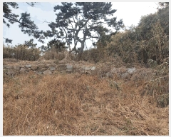  2025Ÿ��930 ��� ���� ������ 707-12       ����(��1)���