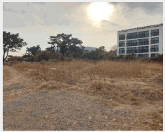  2025Ÿ��930 ��� ���� ������ 707-12       ����(��1)���